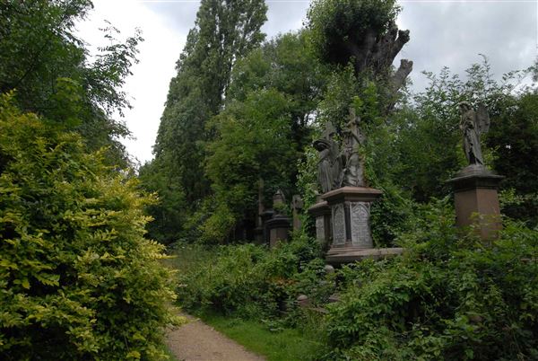 Abney Park Cemetery (01/05/2019)
