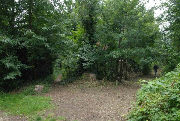 Abney Park Cemetery (01/05/2019)