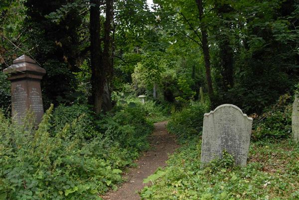 Abney Park Cemetery (01/05/2019)