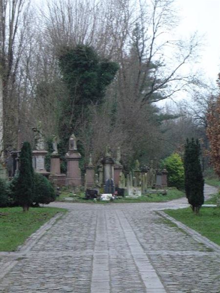 Abney Park Cemetery (01/05/2019)
