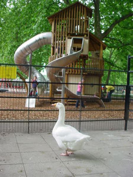 Coram's Fields (01/05/2019)