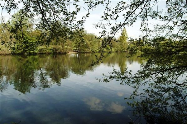 Grovelands Park (01/05/2019)
