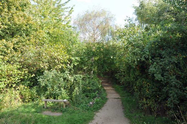 Stave Hill Ecological Park (01/05/2019)