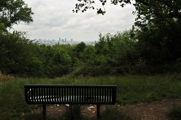 One Tree Hill, Honor Oak Park (01/05/2019)