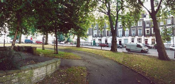 Percy Circus (01/05/2019)