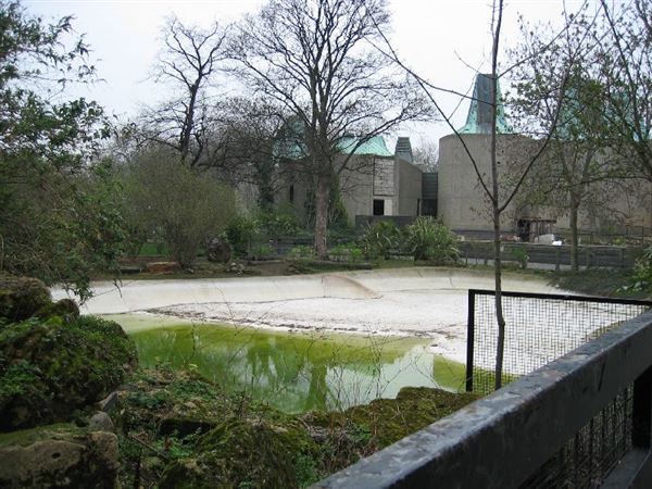 London Zoo (01/05/2019)