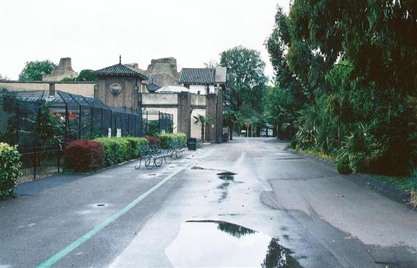 London Zoo (01/05/2019)