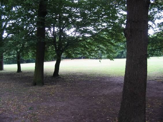 Cherry Tree Wood (01/05/2019)
