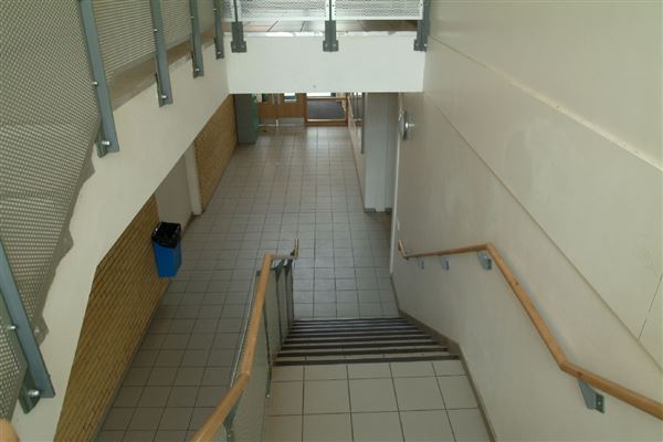 Christ's School (01/05/2019)