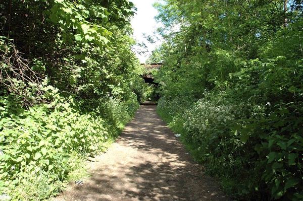 Parkland Walk (01/05/2019)
