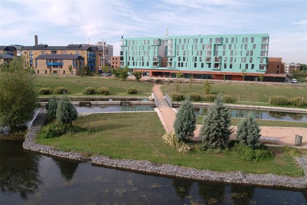 Mile End Park (01/05/2019)