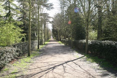 Chiswick House Grounds (01/05/2019)