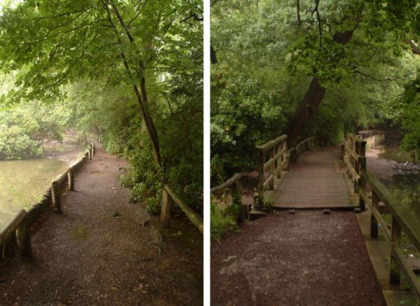 Keston Ponds (01/05/2019)