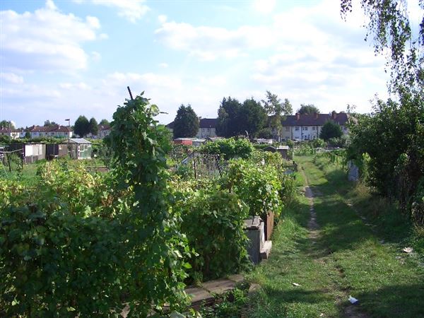 White Hart Lane Allotments (01/05/2019)