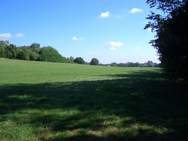 Alexandra Park (01/05/2019)