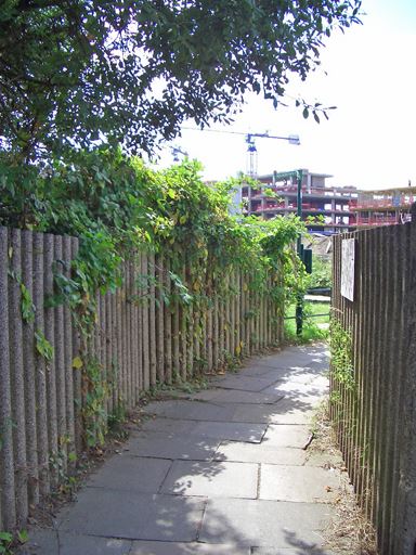 Cross Lane (01/05/2019)