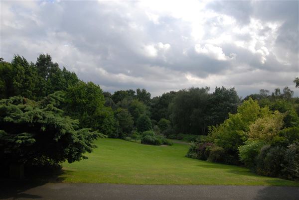 Hampstead Heath - the Hill Garden and Pergola (01/05/2019)