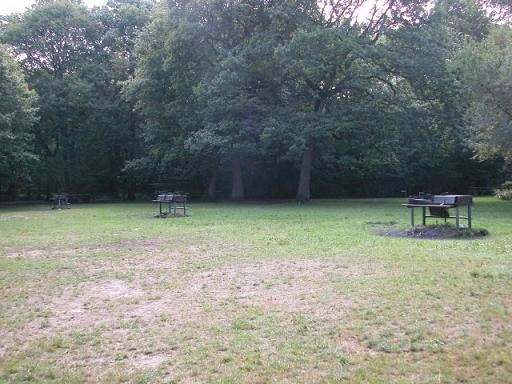 Bayhurst Wood Country Park (01/05/2019)