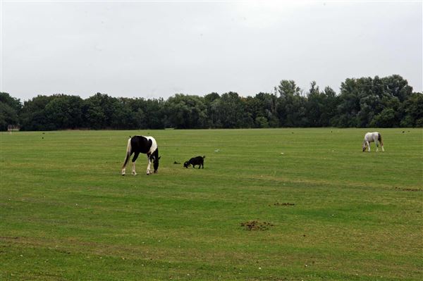 Beckton District Park (01/05/2019)