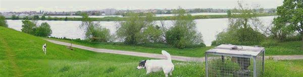 Lockwood Reservoir (01/05/2019)