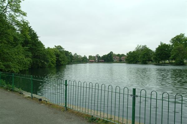 Valentines Park (01/05/2019)