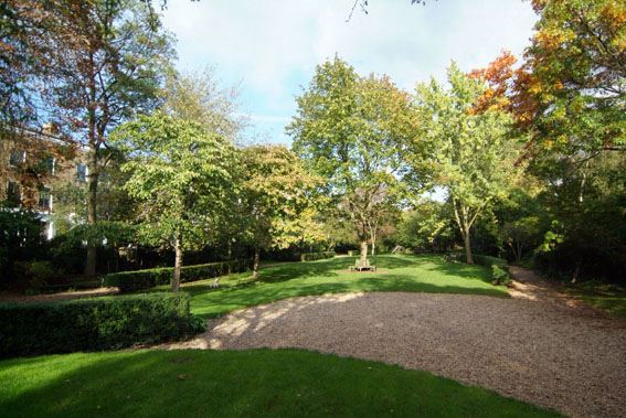 Blenheim & Elgin Communal Gardens (01/05/2019)