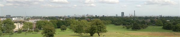 Primrose Hill (01/05/2019)