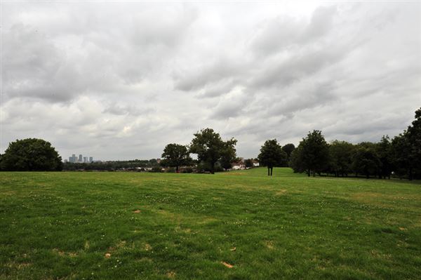 Blythe Hill Fields (01/05/2019)