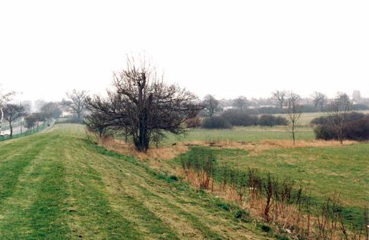 Fryent Country Park (01/05/2019)