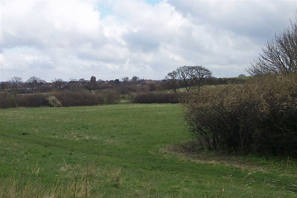 Fryent Country Park (01/05/2019)