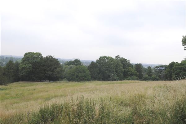 The Terrace Field (01/05/2019)