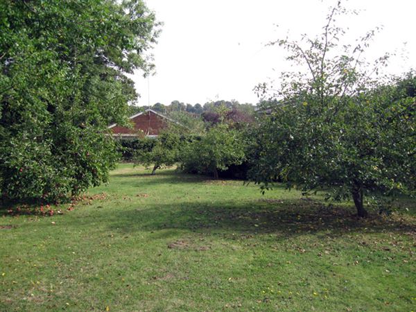 The Russell Primary School (01/05/2019)