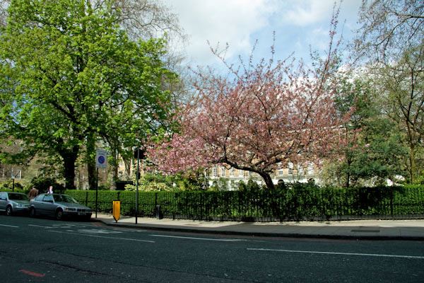 Dorset Square Hotel (01/05/2019)