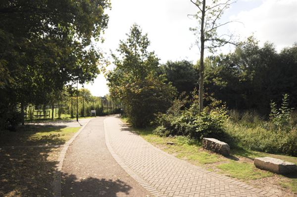Russia Dock Woodland (01/05/2019)