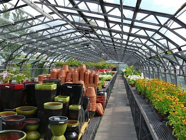 Wolves Lane Horticultural Nursery (01/05/2019)
