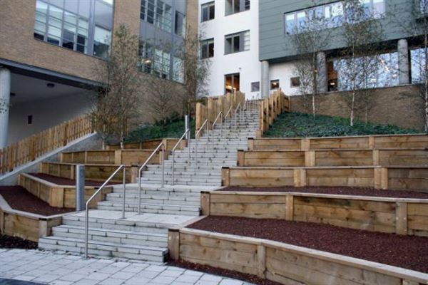 Heartlands High School (01/05/2019)