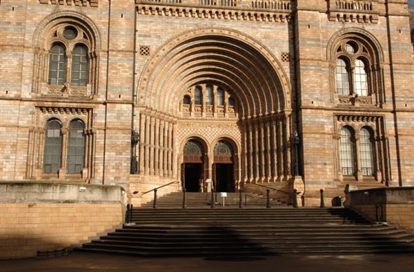 Natural History Museum (01/05/2019)