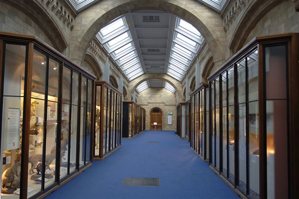 Natural History Museum (01/05/2019)