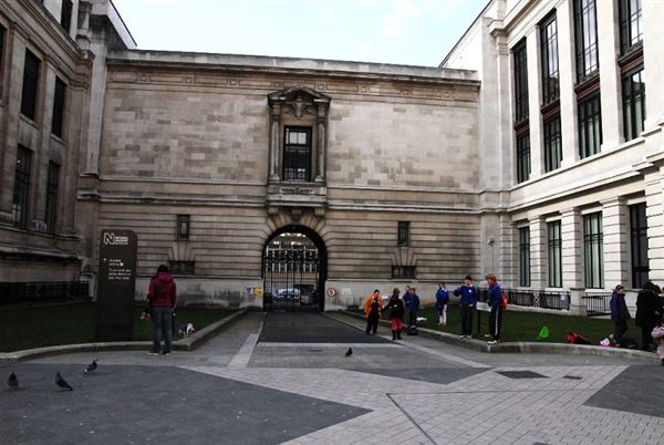Natural History Museum (01/05/2019)