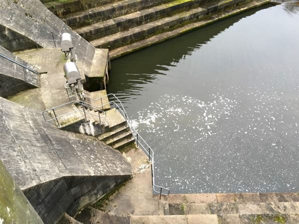 Brent Reservoir (01/05/2019)