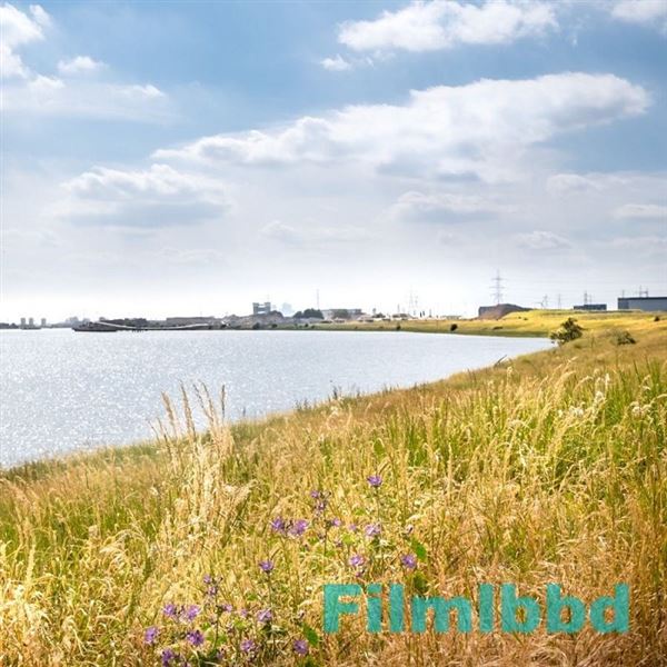 Barking Riverside (01/05/2018)