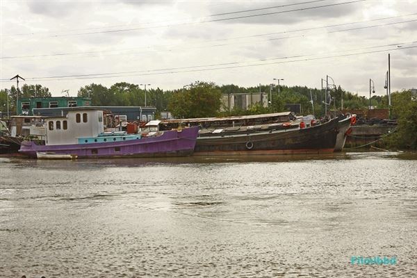 Barking Riverside (01/05/2018)
