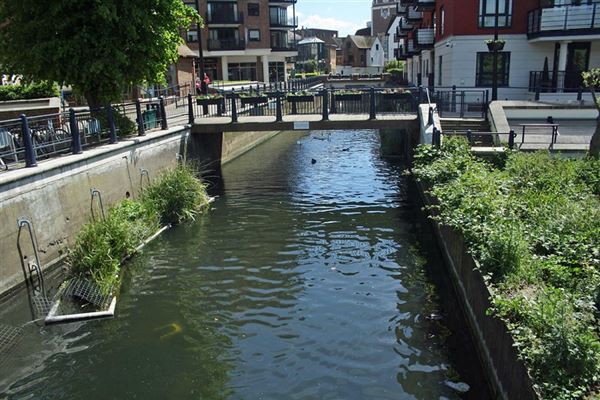 Kingston Riverside (01/05/2019)