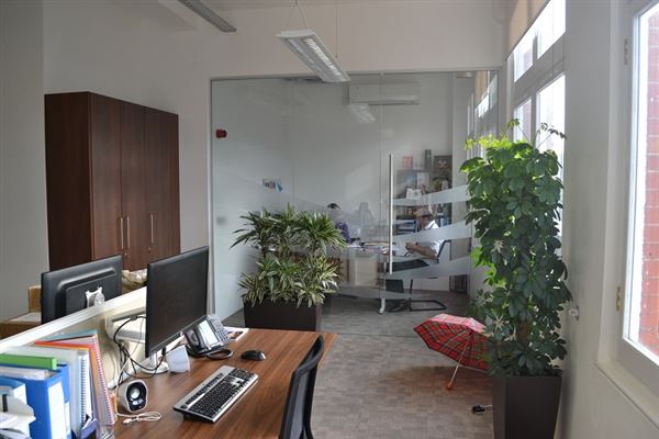 Hodgkin Huxley House (01/05/2019)