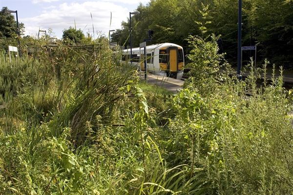 Elmstead Woods  Station (01/05/2019)