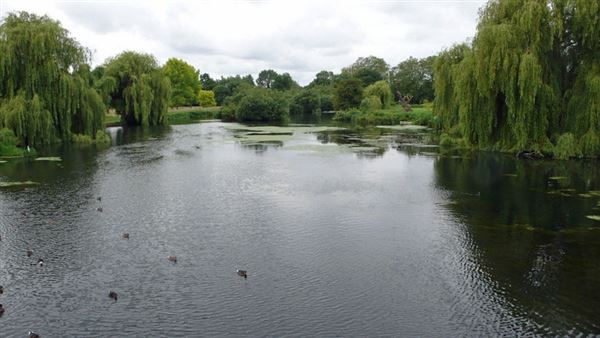 Foots Cray Meadows (01/05/2019)