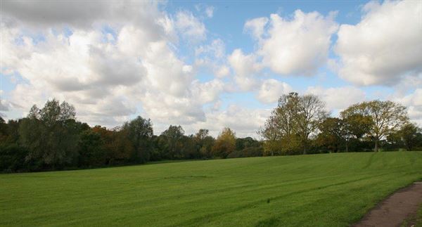 Brook Farm Open Space (17/05/2018)