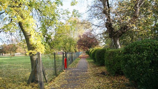 Hendon Park (01/05/2018)