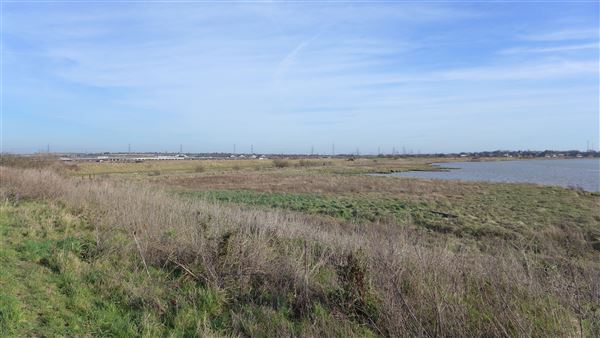 Rainham Marshes - Thames Side (20/04/2018)