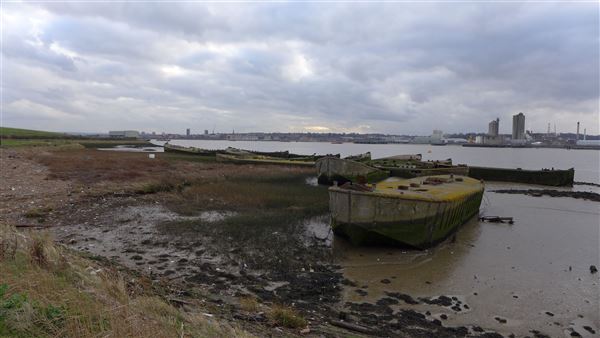 Rainham Marshes - Thames Side (20/04/2018)